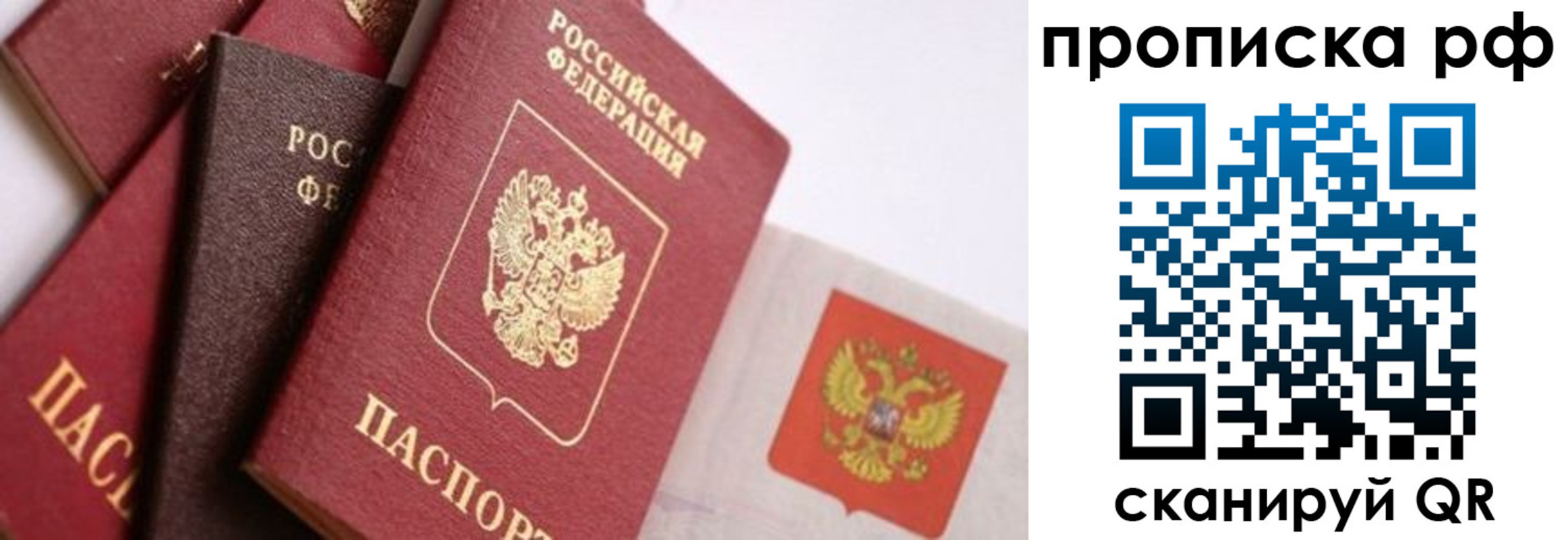 найти адрес прописки в Мытищах